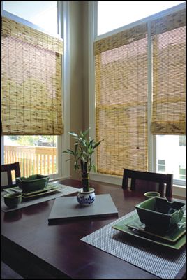 Atlanta, Georgia Tropical Woven & Roman Shades