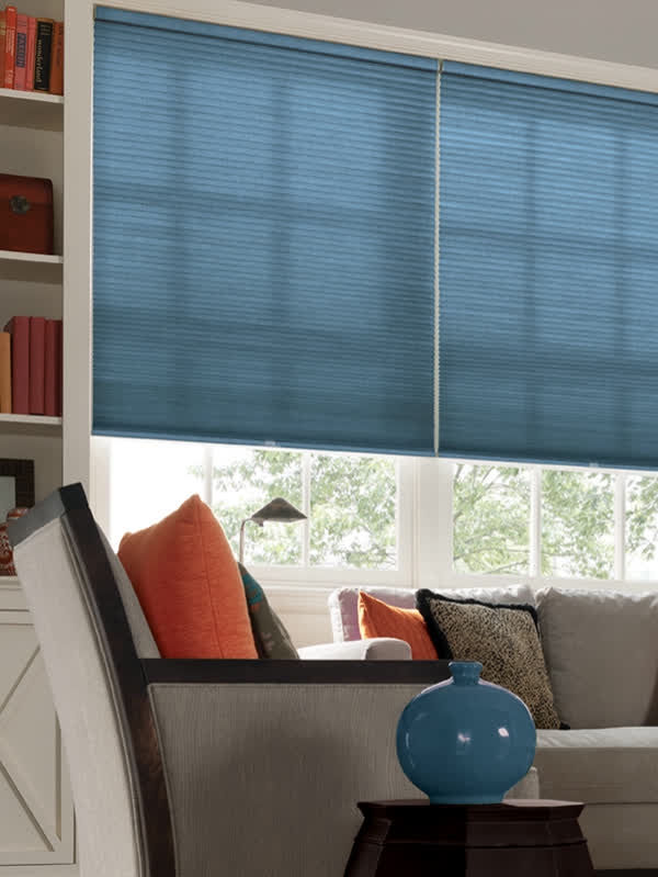 Atlanta Color Lux Window Shades