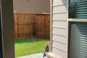 Atlanta-Easy-vue-windows-050604-10